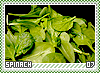 spinach07