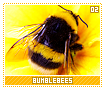 bumblebees02