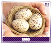 eggs13