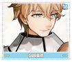gawain12