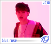 up10tion-bluerose19